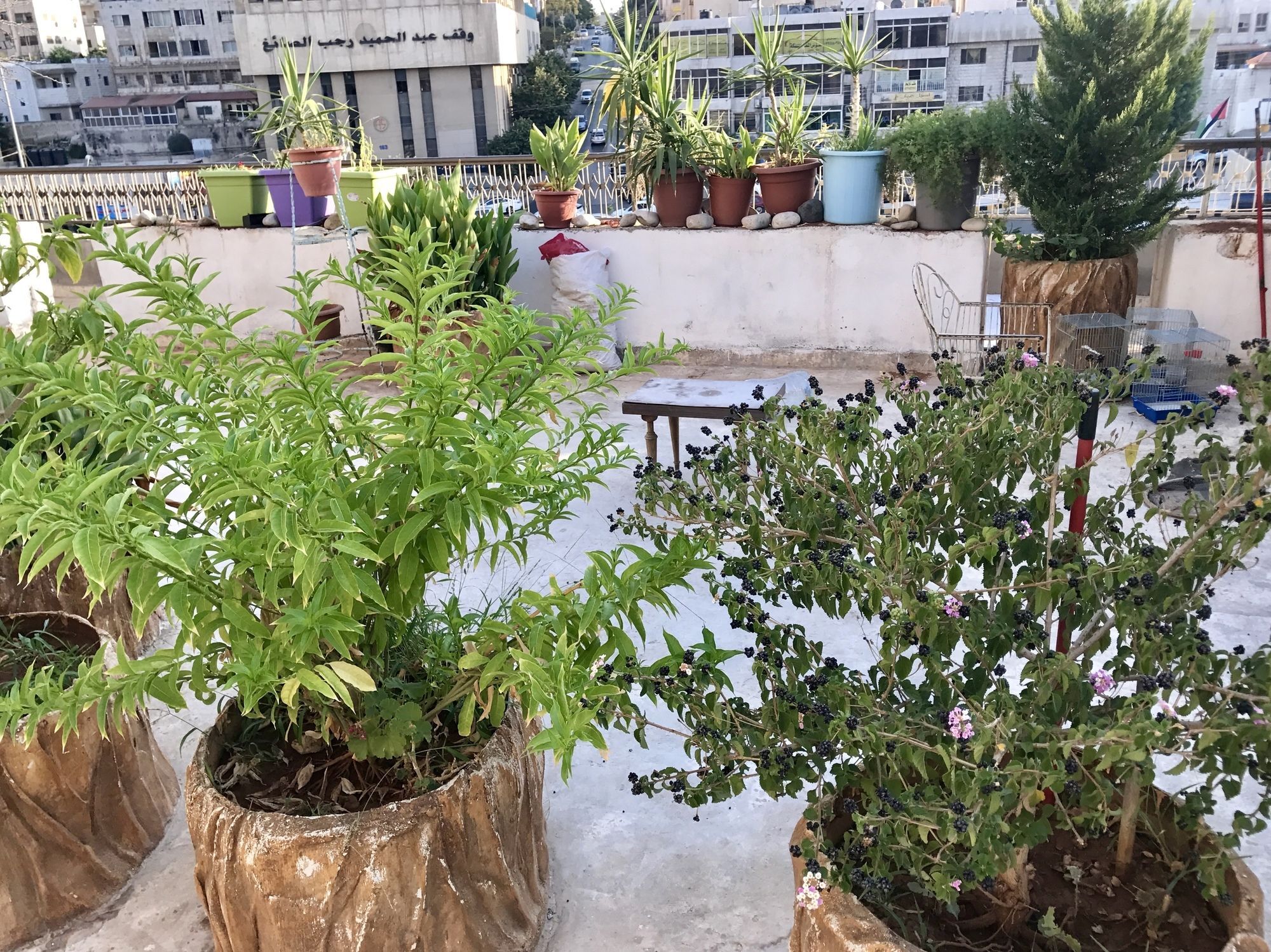 Sun Rise Hotel & Hostel & Tours Amman Dış mekan fotoğraf